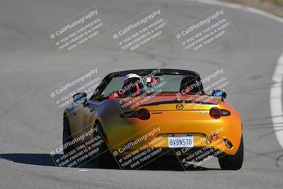 media/Nov-19-2023-Extreme Speed (Sun) [[bd0eec5490]]/Purple/Back Shots/